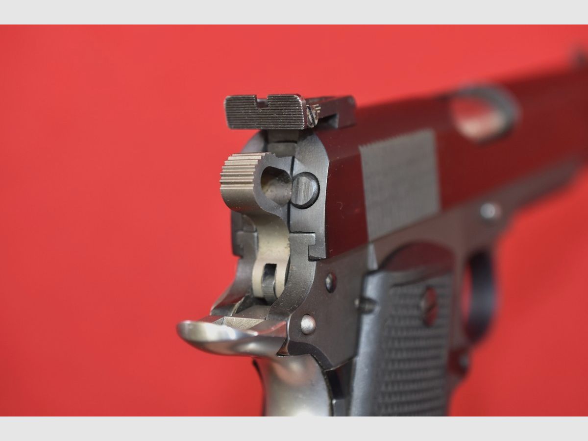 #8330 PARA ORDNANCE P14-45 pistola, cal. 45ACP, imagen 10 de 17
