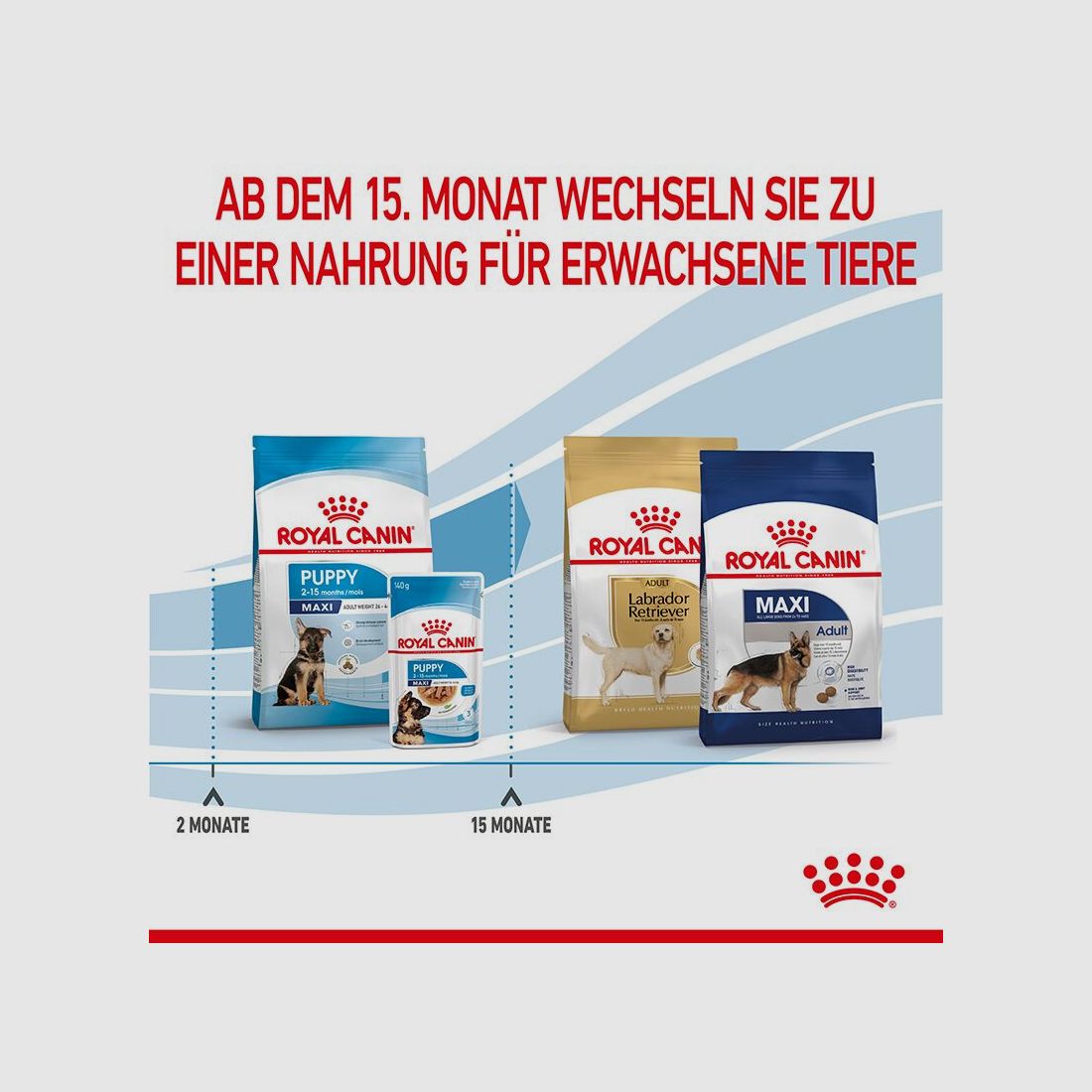 ROYAL CANIN Große Hunde Trockenfutter Maxi Welpen 15 Kg