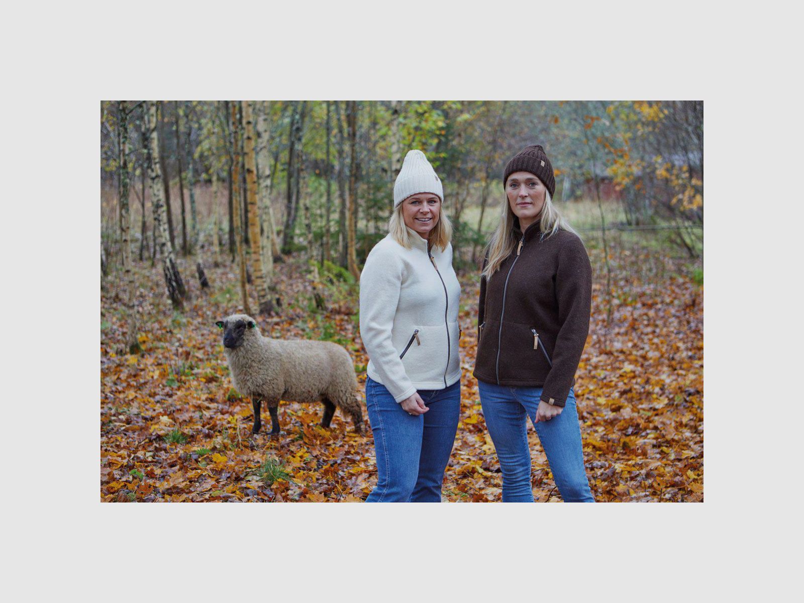 IVANHOE NLS TWIG Full Zip Birch