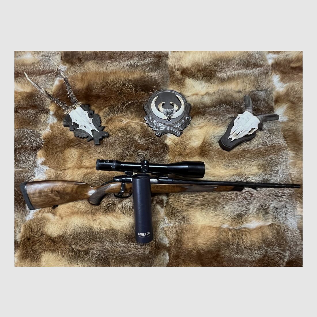 Steyr Mannlicher SBS