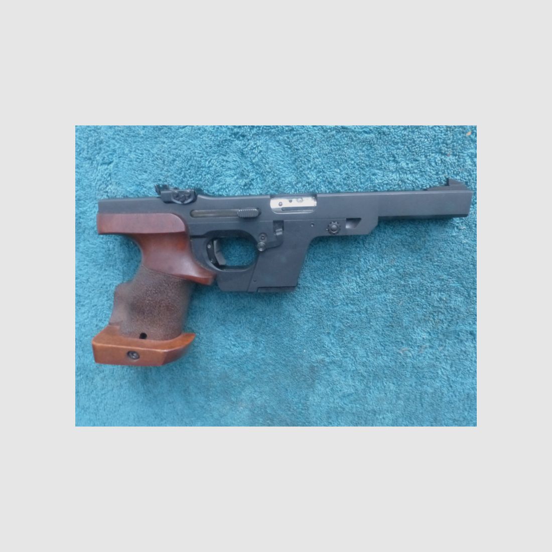 Walther GSP , .22LR