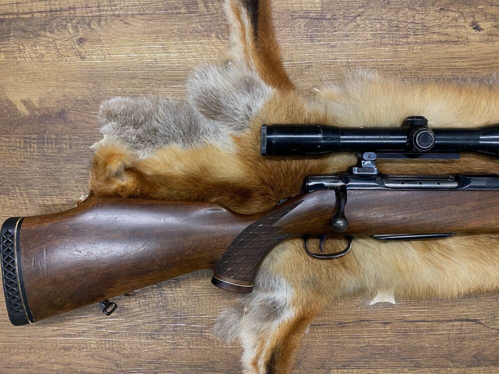 Sauer 80