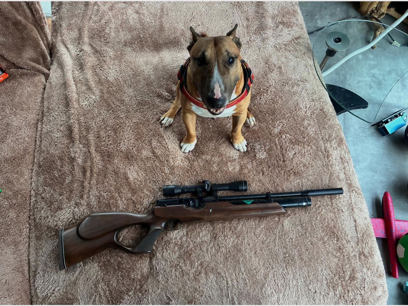 Pressluftgewehr Weihrauch HW 100 T Nussbaum-Lochschaft Kompensator Kaliber 5,5 mm