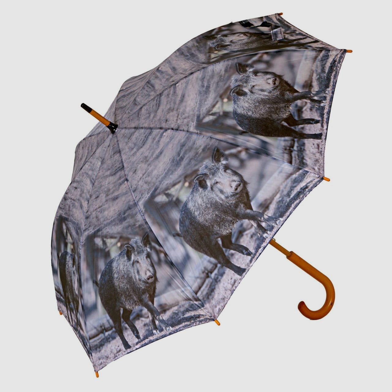 AKAH Regenschirm Sauen