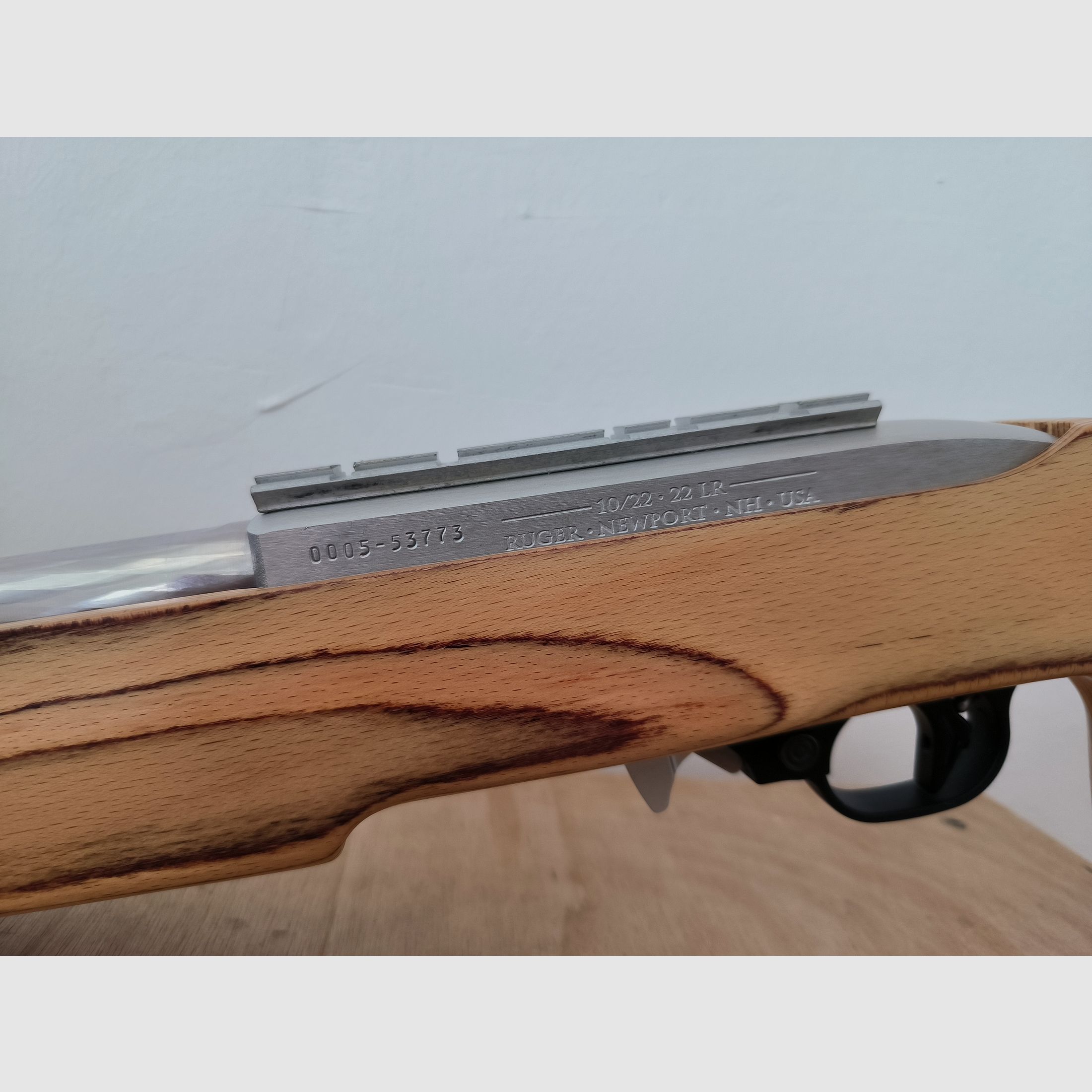 Ruger 10/22
