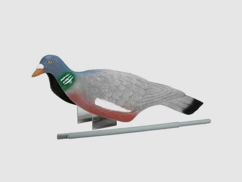 Lockvogel Taube mit Haltestab