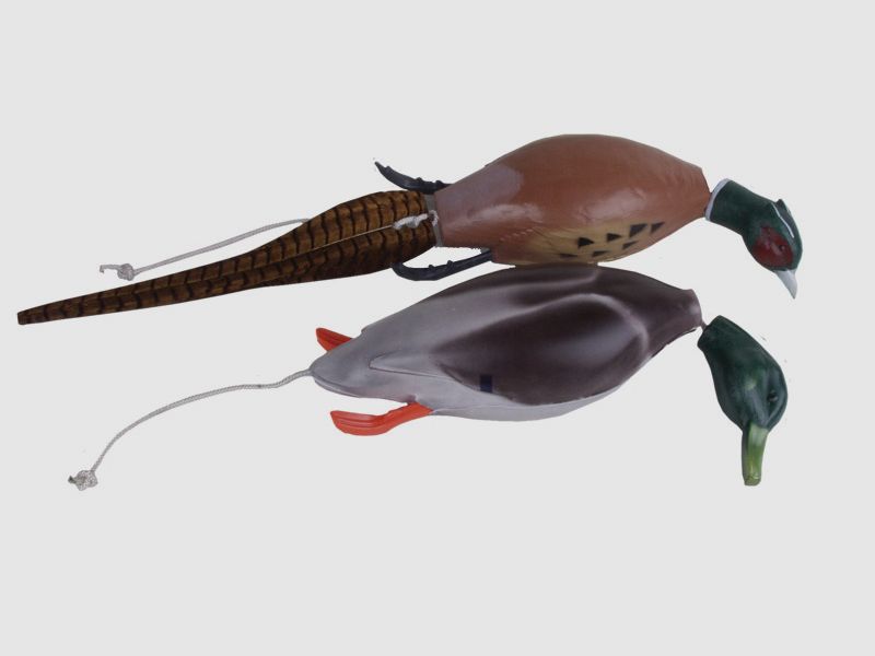Dokkens Dead Fowl apportable, faisan