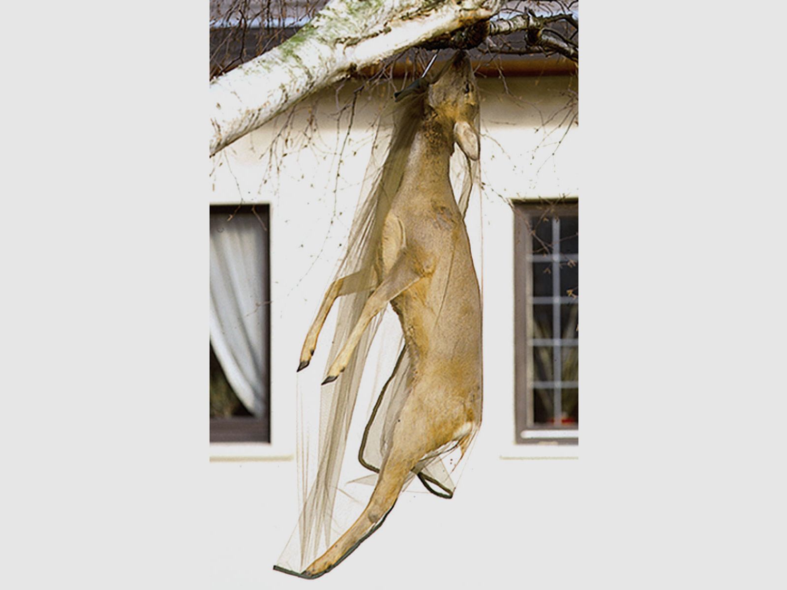 Filet de protection contre les mouches Fritzmann pour cerfs 170x110cm