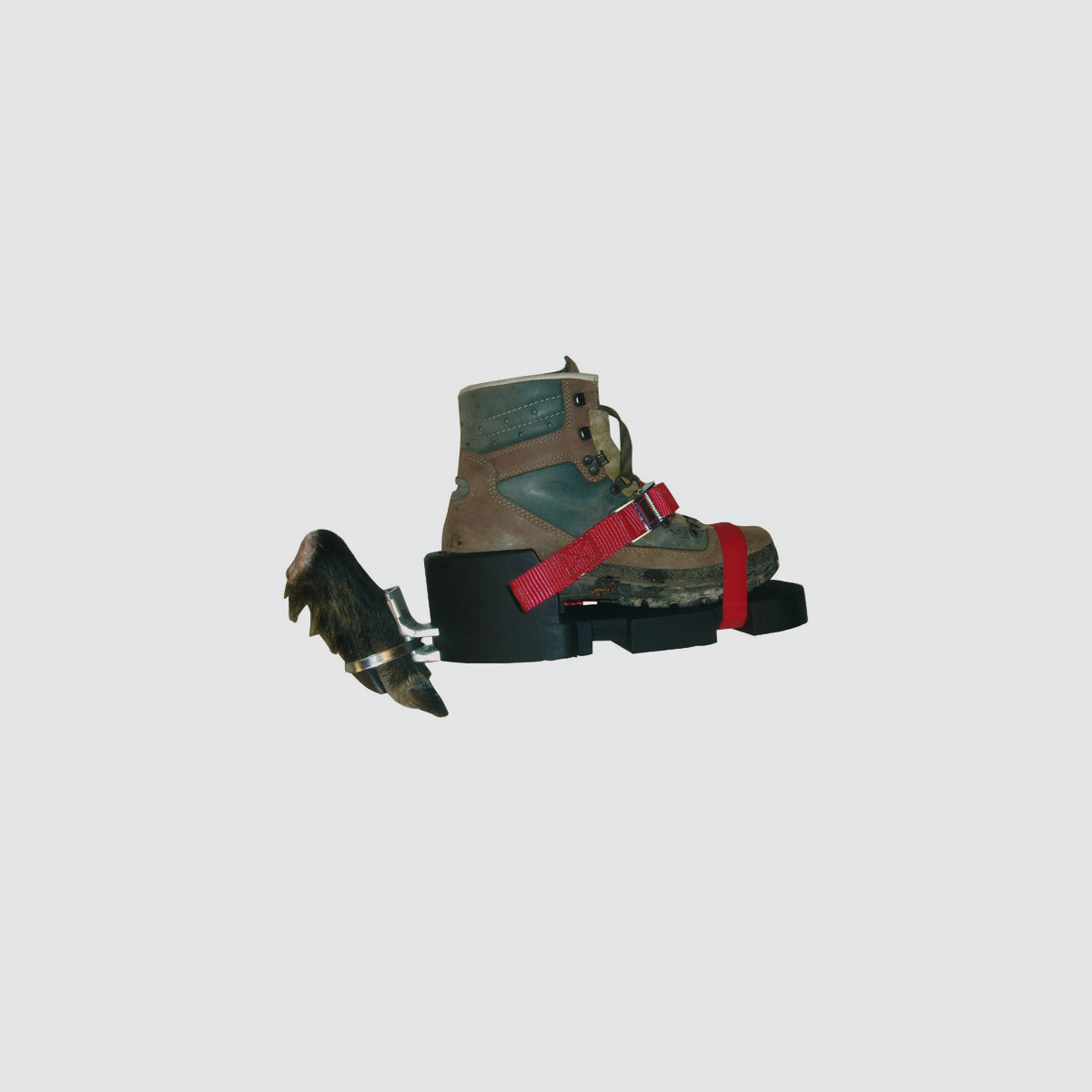 WAIDWERK Fährtenschuh Classic