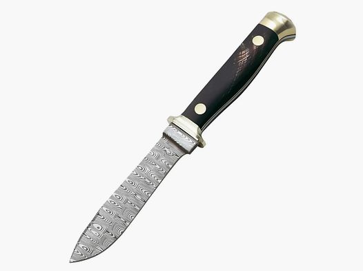 Cuchillo Anual PUMA 2025 Cuerno de Búfalo