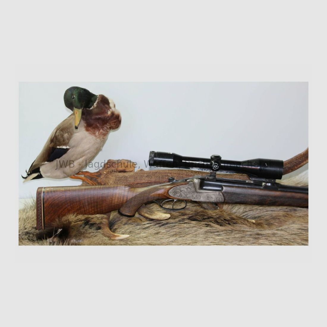 Sodia Bockbüchsflinte mit langen Seitenplatten 16/70;7x57R