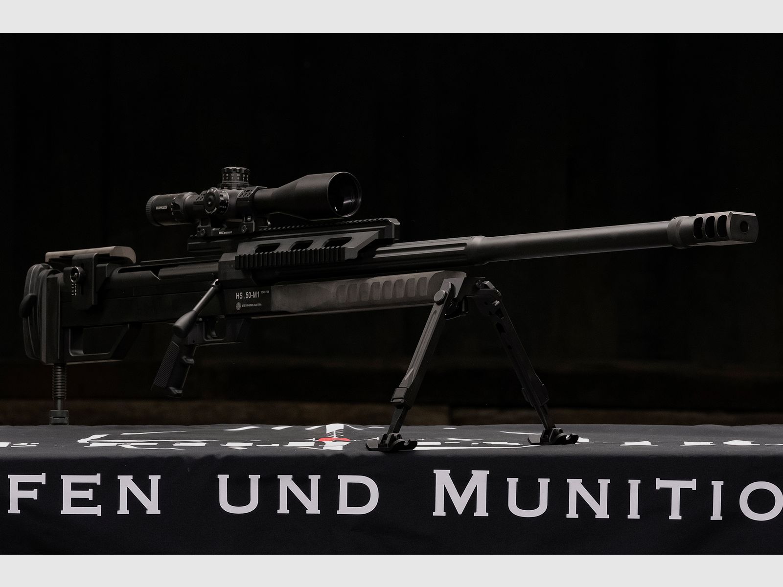 Steyr HS .50 M1, immagine 5 di 10
