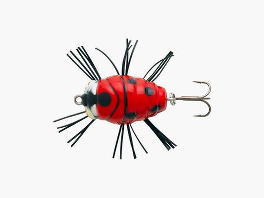 Aas SAKURA NOTOBUG 22F - 2CM
