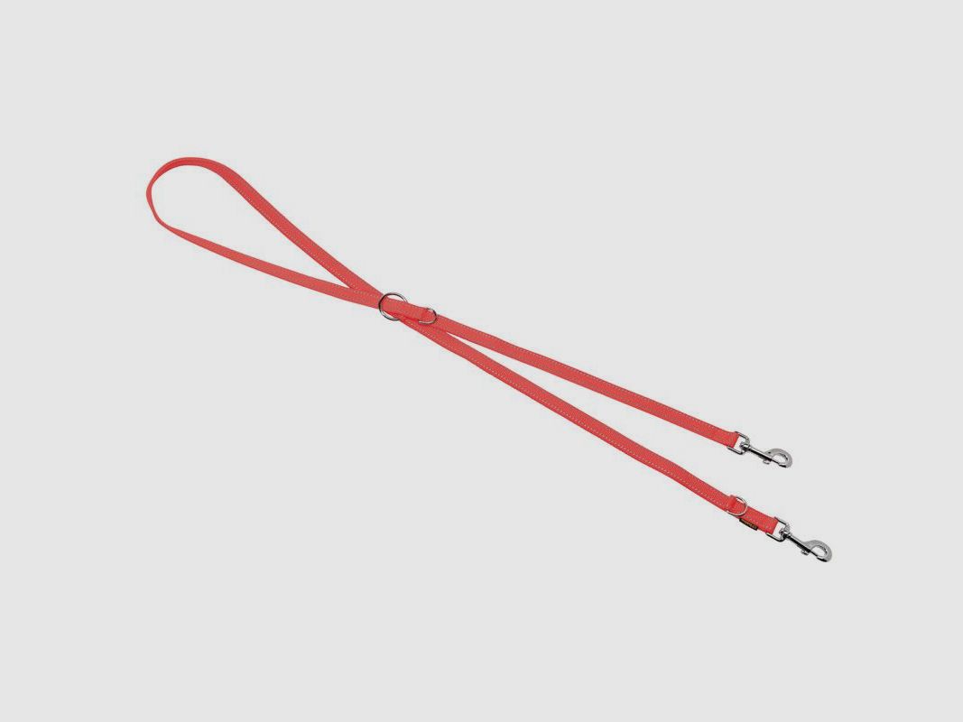 Guinzaglio domestico Nylon Reflex 3 volte regolabile, 2m/20mm, immagine 2 di 2