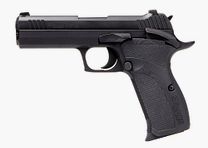 SIG Sauer Mod. P210 -4,1' Carry SAO