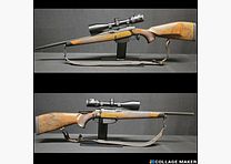 Sauer 202