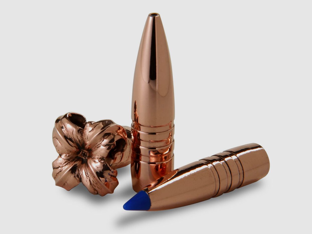 Barnes TTSX 168grs - 20Stk