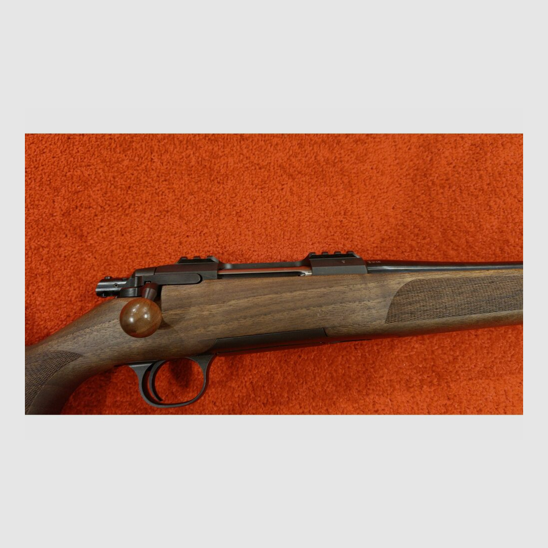 STEEL ACTION HS .308Win