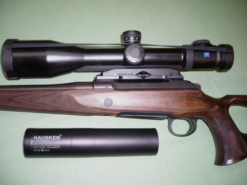 1 Repetierbüchse Sauer Mod. 101 mit Schalldämpfer, Kal. 308Win