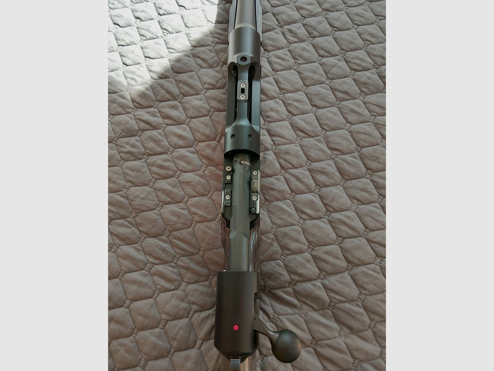 Strasser RS Solo Tahr