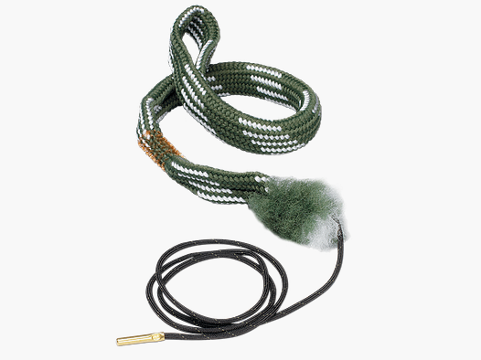 Boresnake Viper,.22 Caliber Pistol, Den