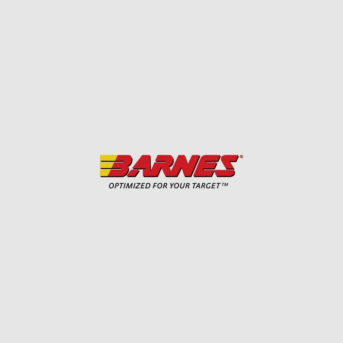 Barnes Geschoss .458 / .458 Socom 300 Grains
