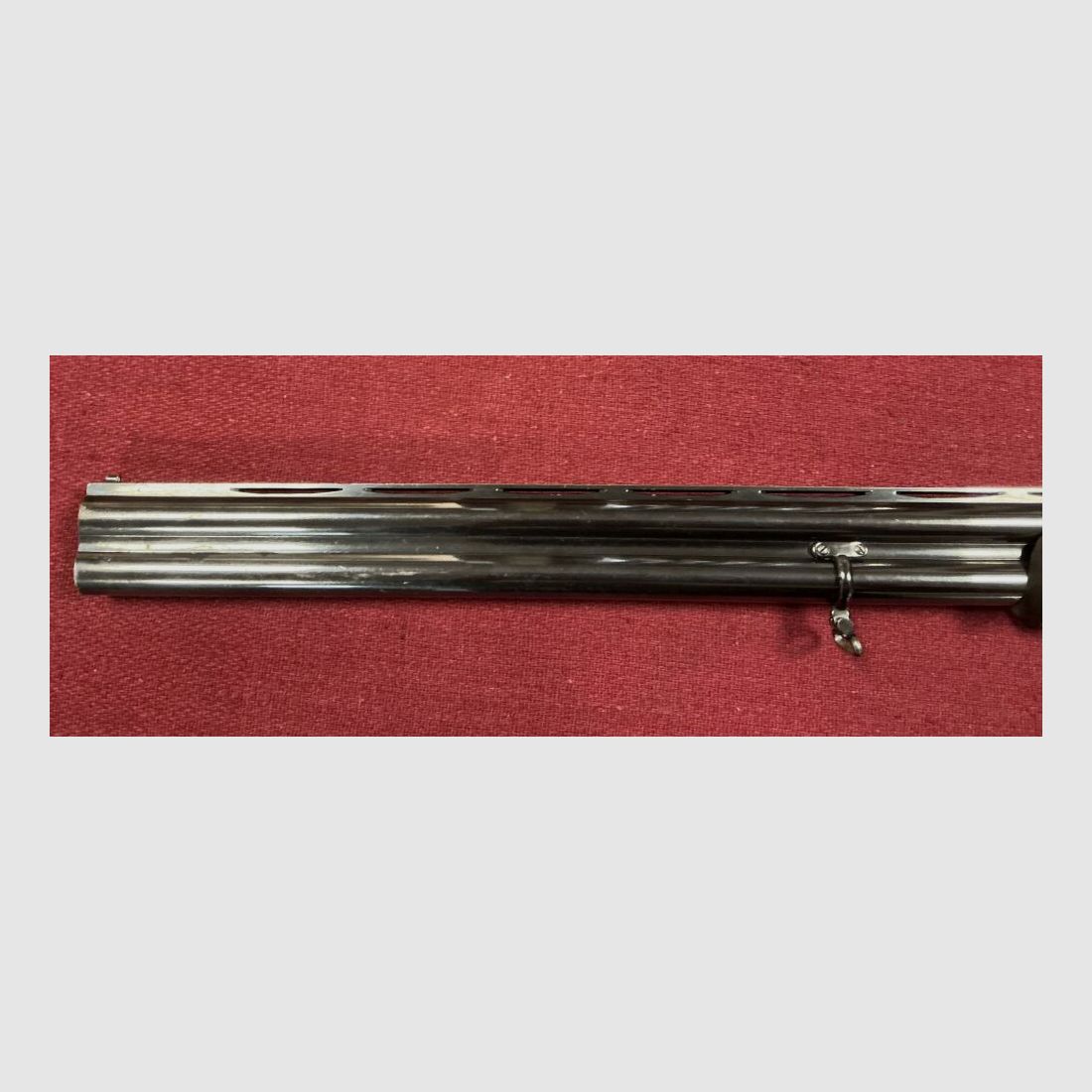 Rottweil Supreme