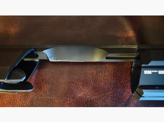 Hera Arms Triarii CZ Shadow 2