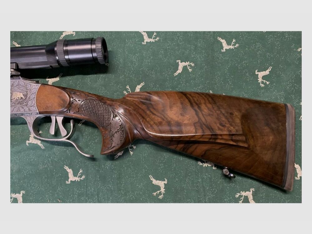 J. Hensel Blokbuks 2,5 - 10 x 48 Zeiss Diatal -ZM Abs. 4 - 7x65R