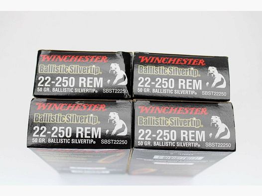 80 Schuß Winchester .22-250 Rem mit 50gr. Ballistic Silvertip 4x20er Pack