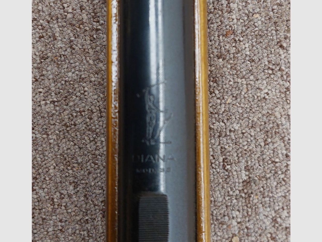 Diana Model 35