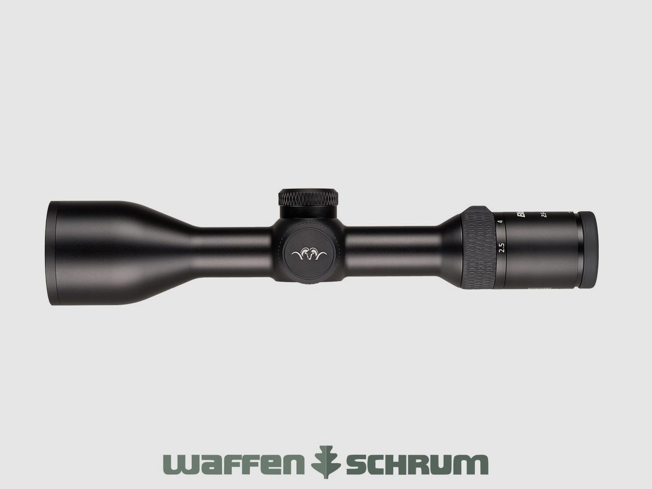 Blaser B2 2,5-15x56 iC S mit Schiene Illumination Control