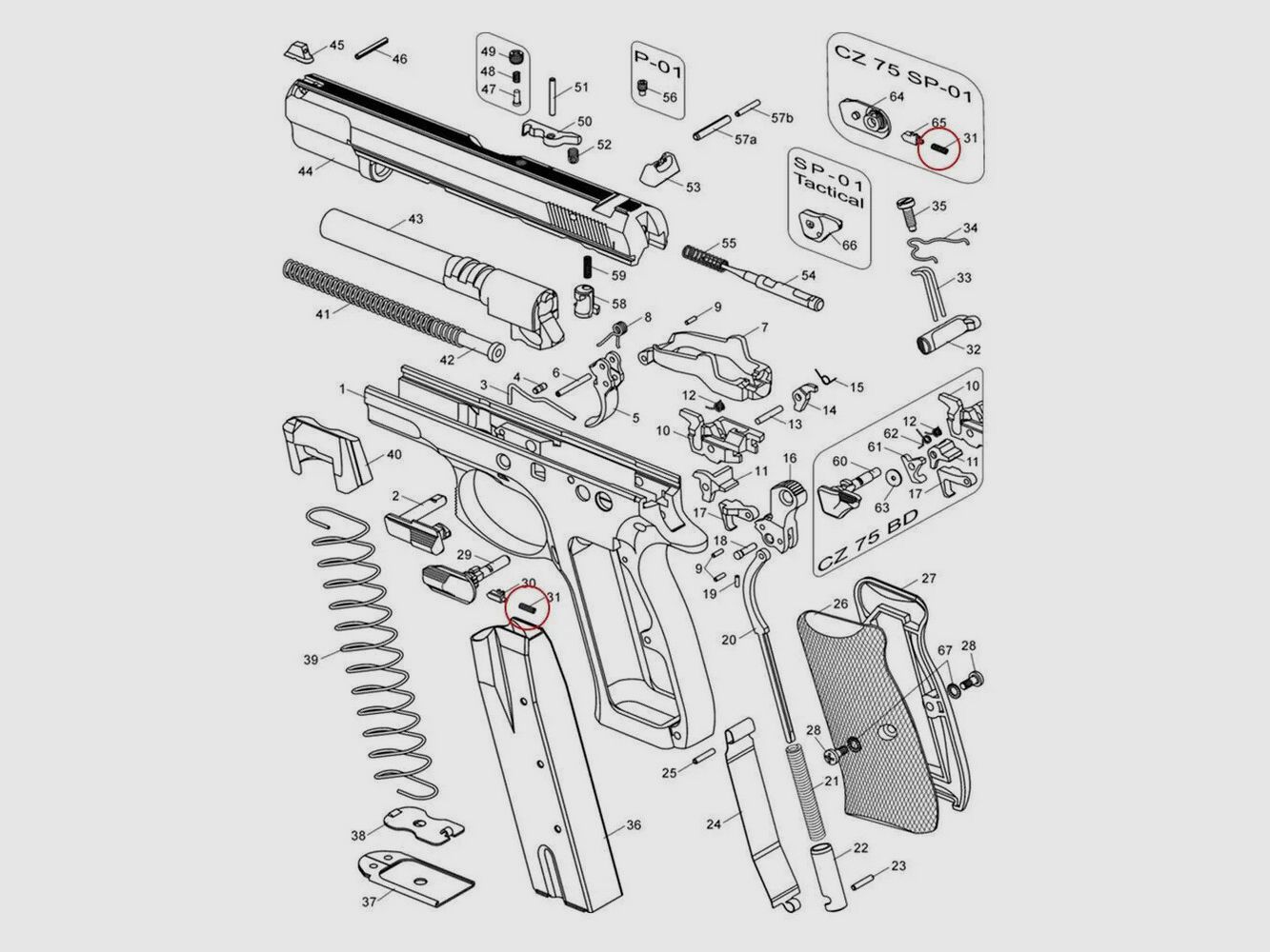 SICHERHEITSDRUCKFEDER EEMANN TECH FÜR CZ 75, Bild 2 von 2