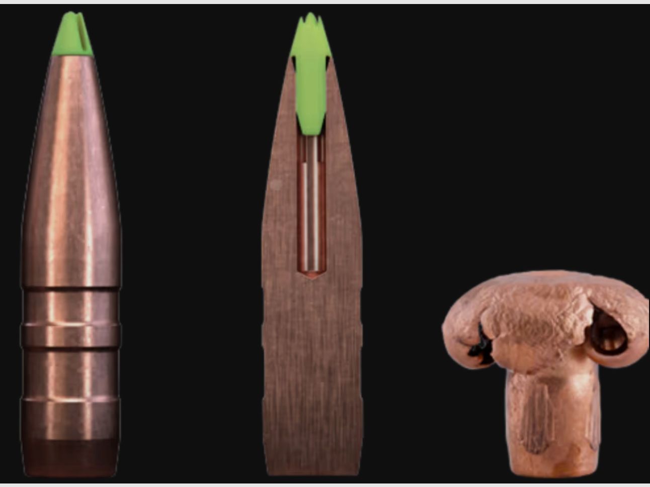 Sako 133001244 30-06 Spring. Testa di potenza Lama 11,0g 170grs. munizioni per fucile senza piombo
