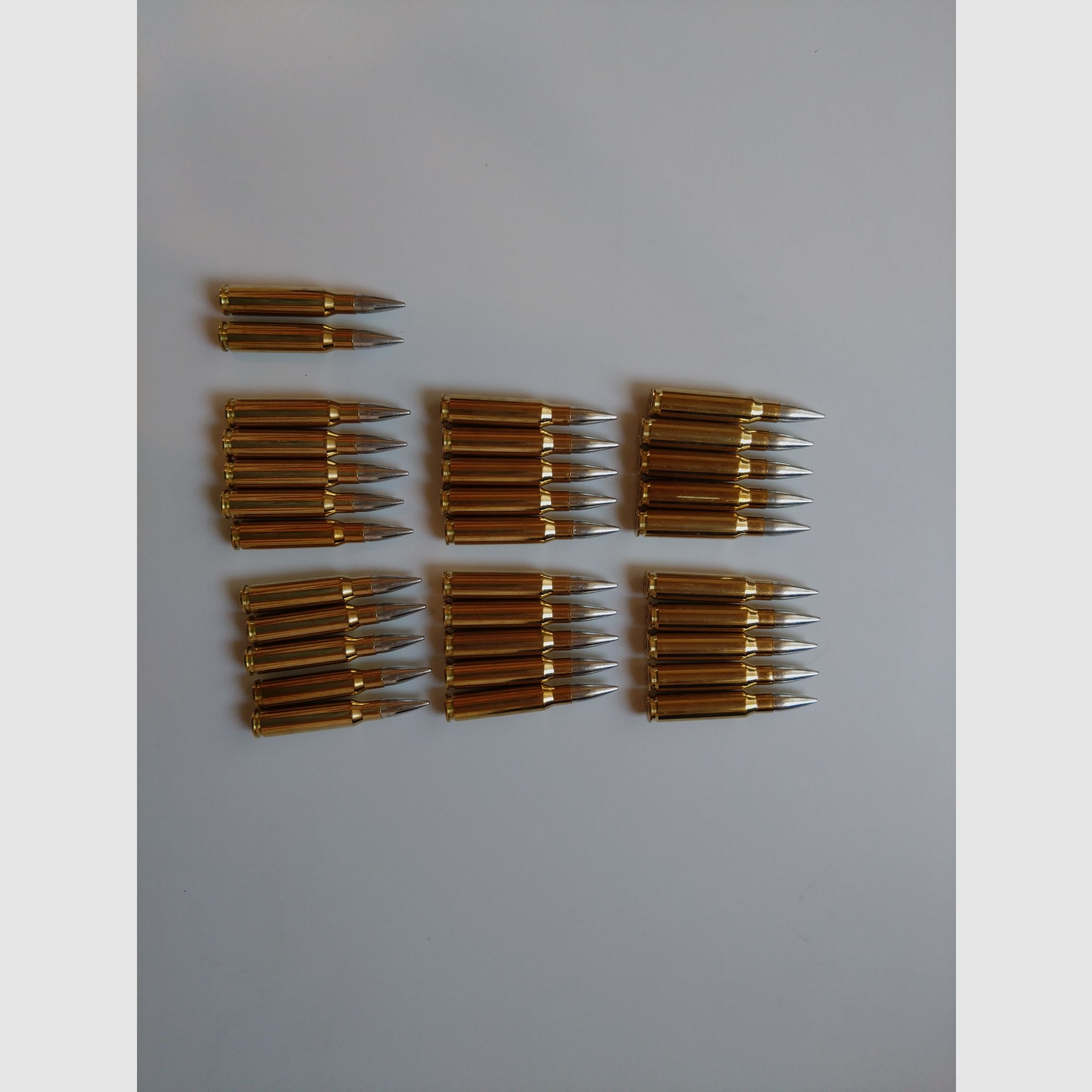 .308Win Screen Ammo munitions d'entraînement sans plomb, 32 cartouches