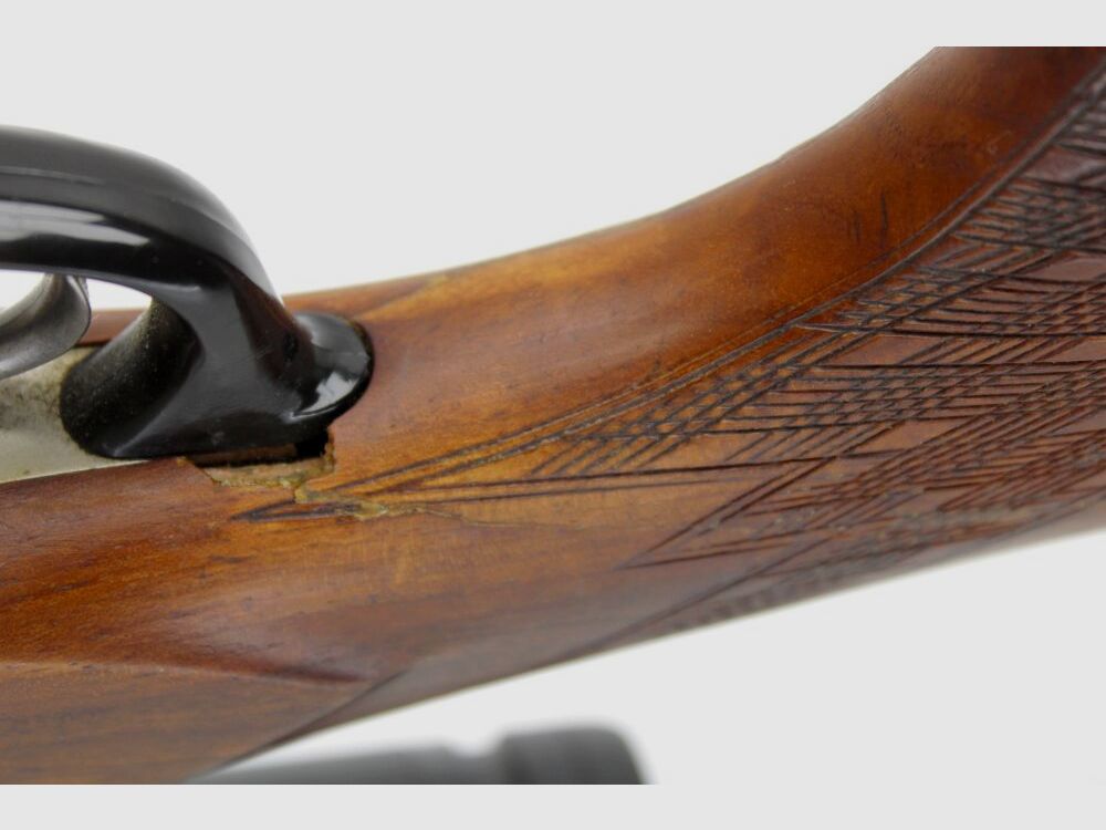 BBF Blaser ES mit Zeiss Conquest V6 mit Einstecklauf 16/70;6,5x57R;.222Rem