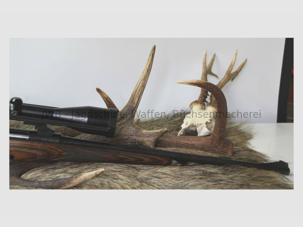 Steyr Mannlicher Jagdmatch L mit Zeiss Diavari .308Win