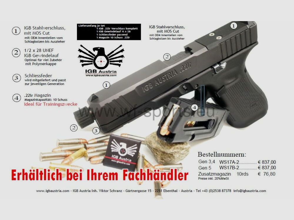 WS Glock 17 IGB .22