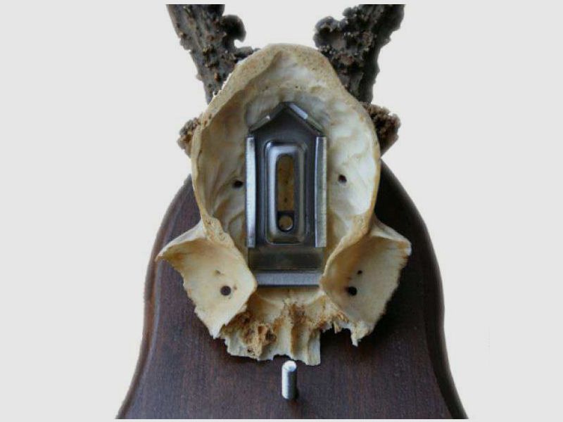 Horn clamps Grip, image 3 of 21
