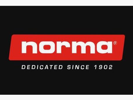 Norma, 308 Win, Whitetail 11,7g/180gr, 20 Stk.