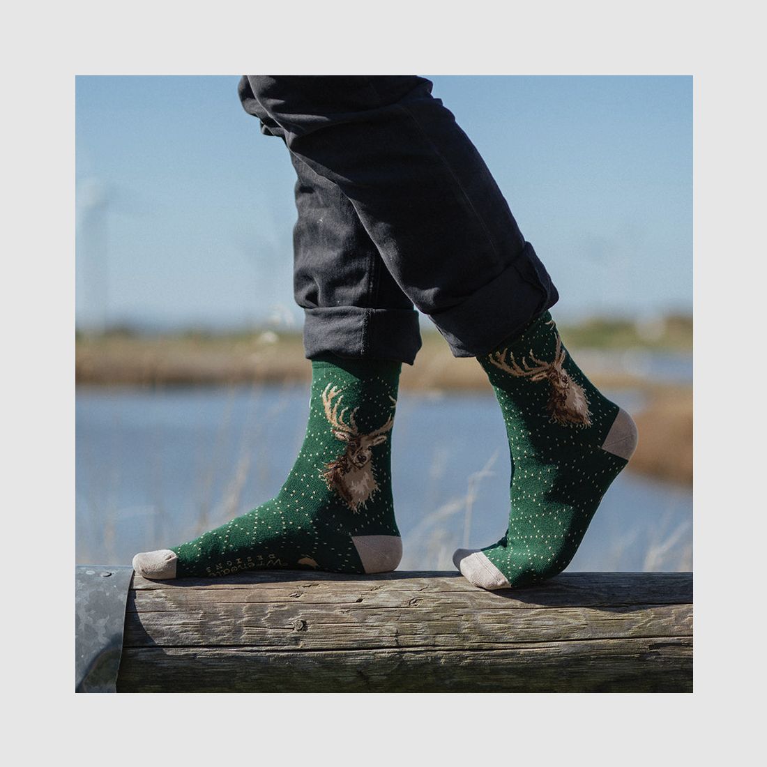 Wrendale Herren - Socken "In my Footsteps" mit Bär