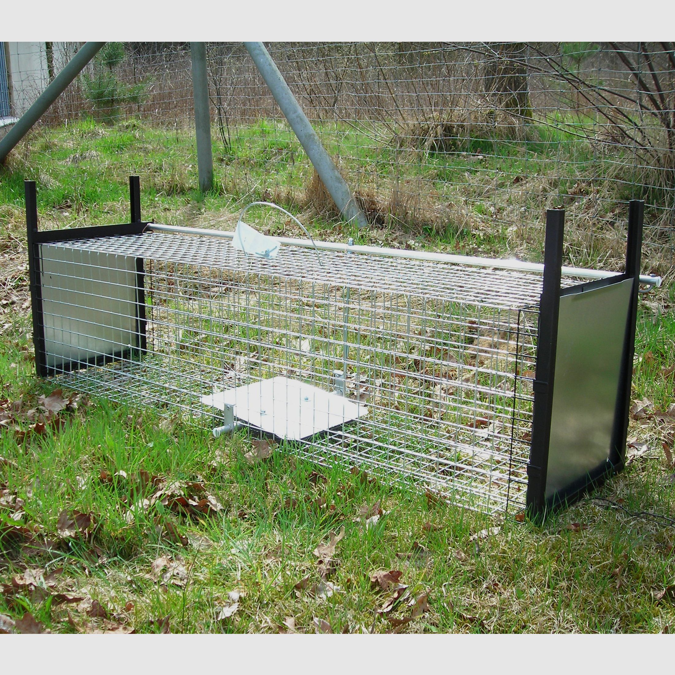 Pułapka na drapieżniki