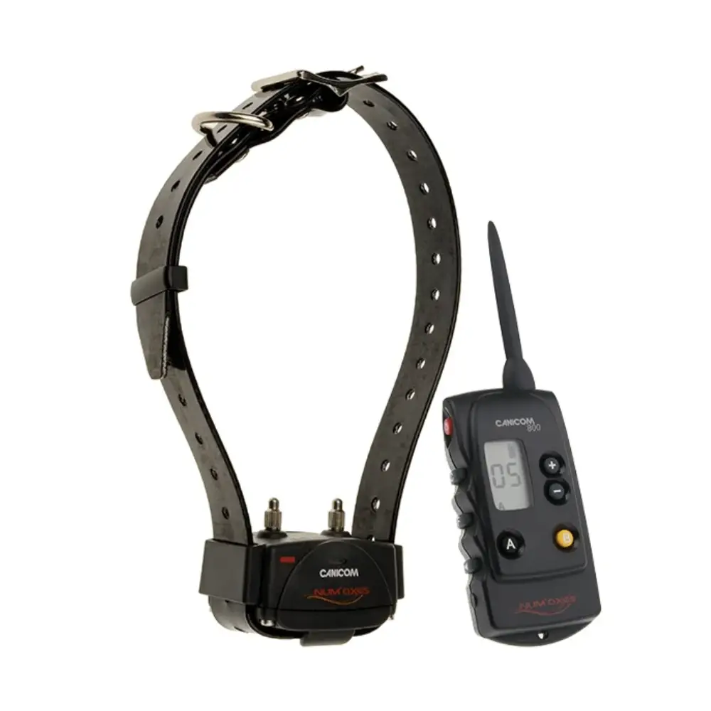 Dog Training Collar CANICOM 800