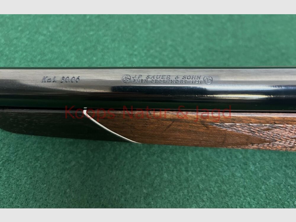 Sauer 80