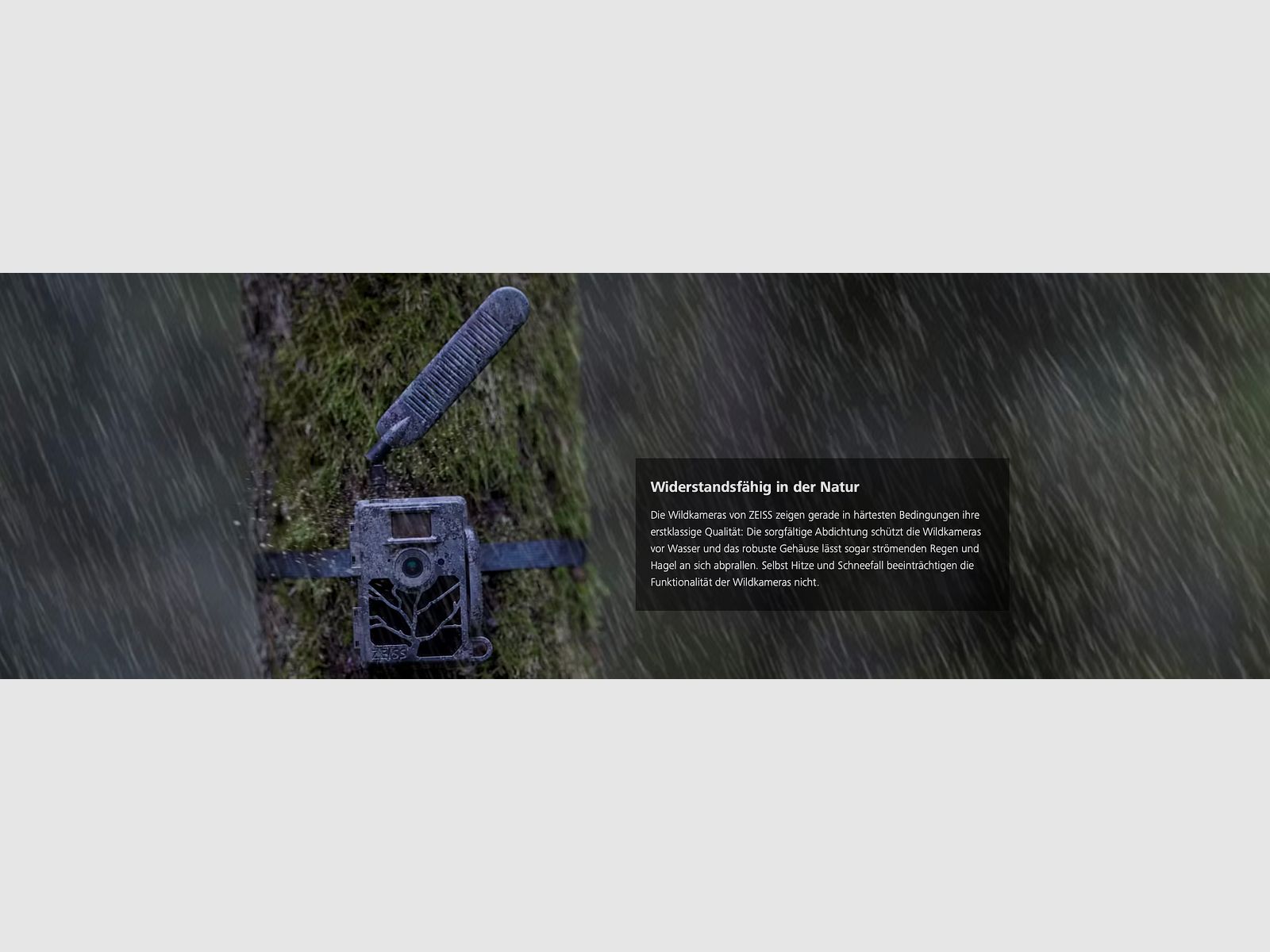 ZEISS Secacam 5 Telecamera per fauna selvatica grandangolare 100 gradi di campo visivo 25m di rilevamento