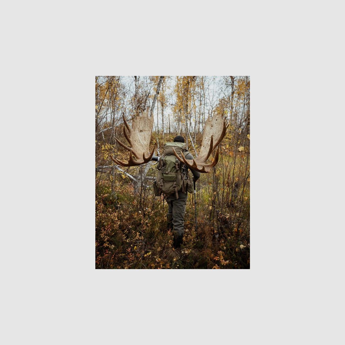 Eberlestock Brute 4500, imagen 13 de 19