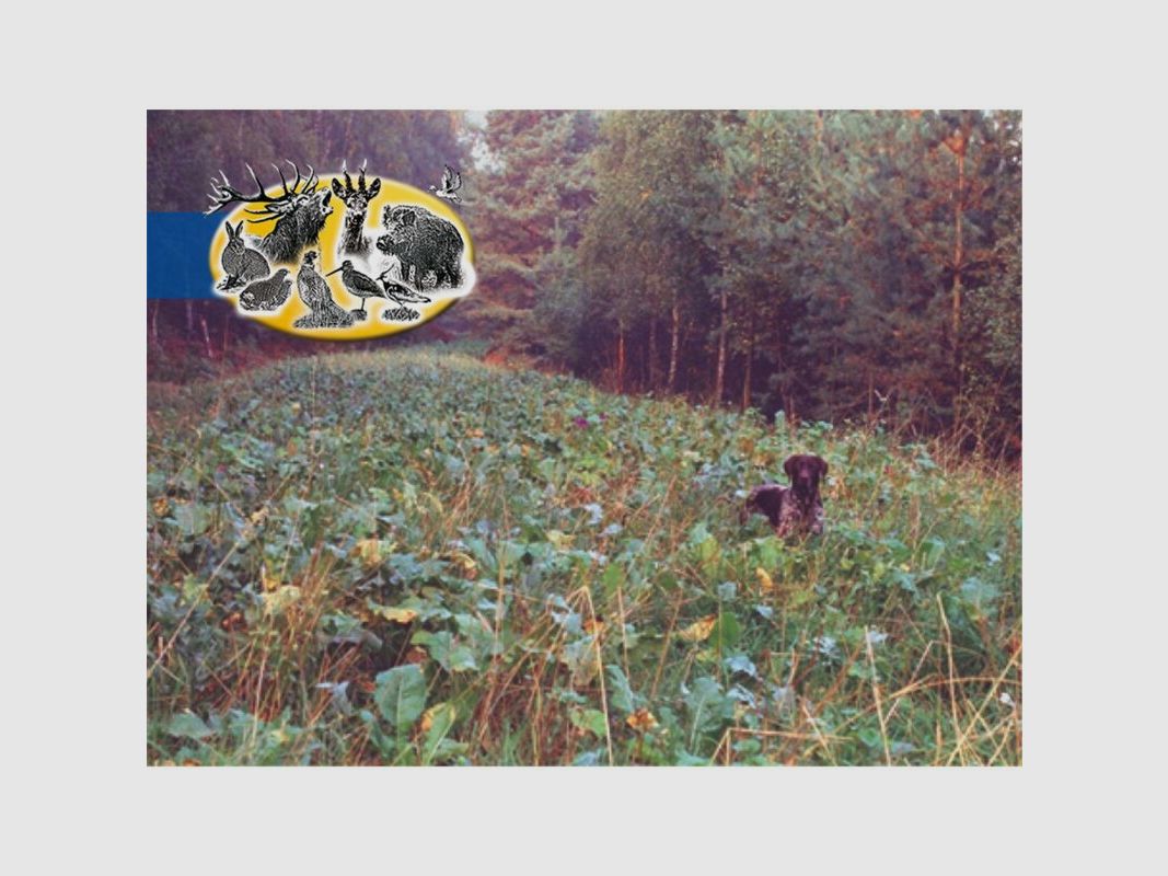 Wildackermischung Pioniermischung Hoch- / Niederwild 10Kg