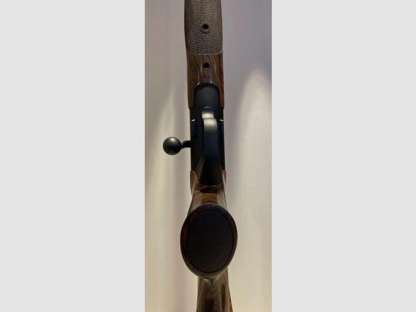 BLASER R8 SUCCESS (HOLZKLASSE 4+)