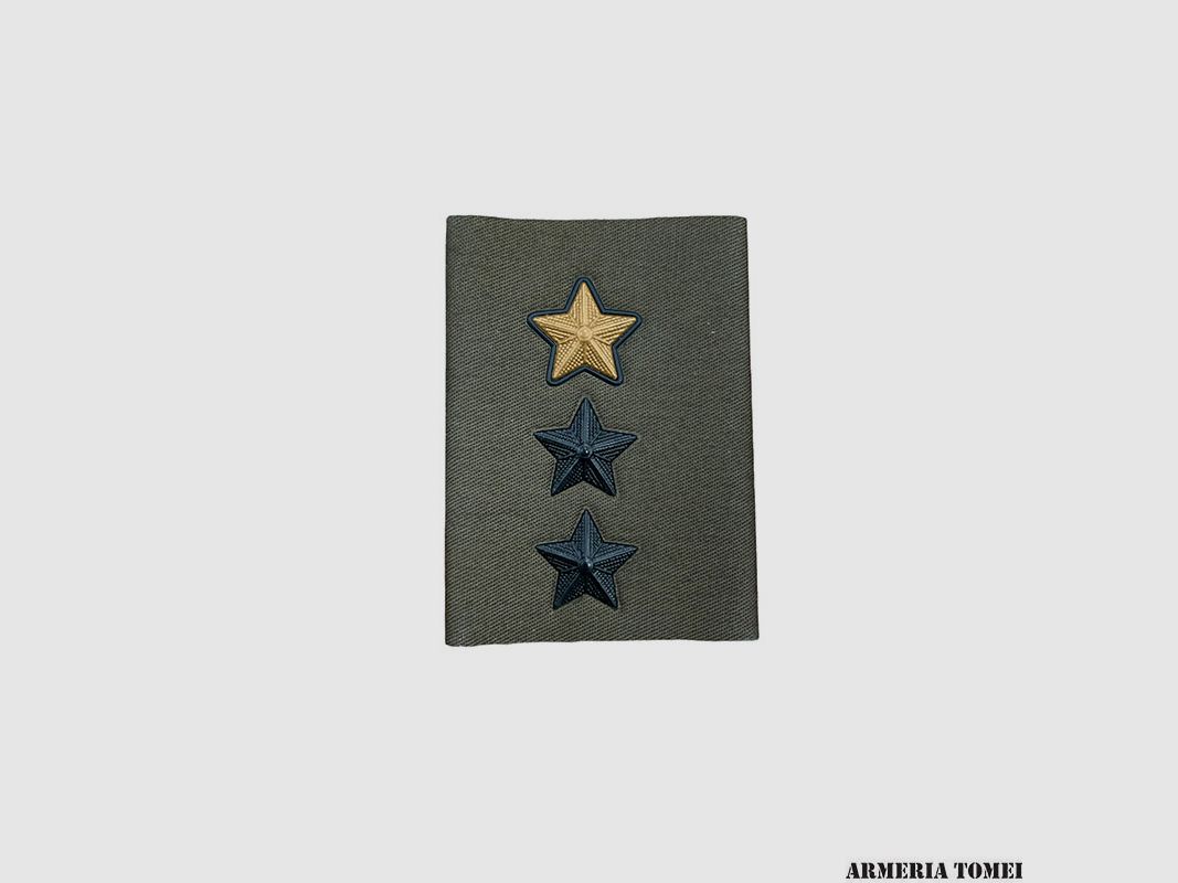 HEER – FUNKTIONALE/COMMANDANT TUBOLARE