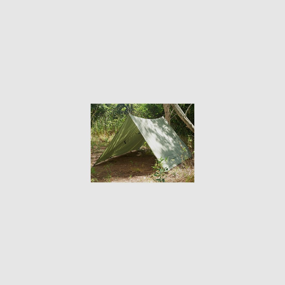 Snugpak Allwetter Tarp 3x3m